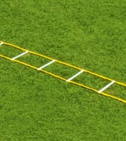 Fisher 12' Single Speed Ladder