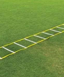 Fisher 20' Single Speed Ladder