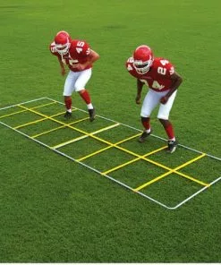 Fisher Speed Demon Agility Trainer